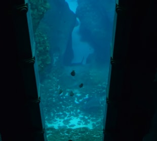 Aquarium mit Untersee-Station