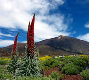 Teide