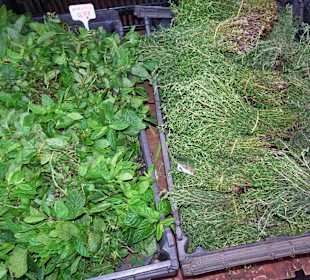 Frische Kräuter auf dem Wochenmarkt