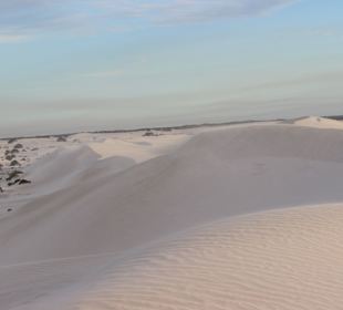 Sanddünen - Lancelin