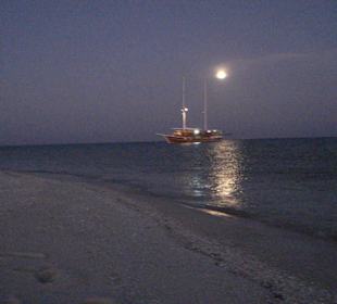 Blick aufs Segelboot von der Insel 