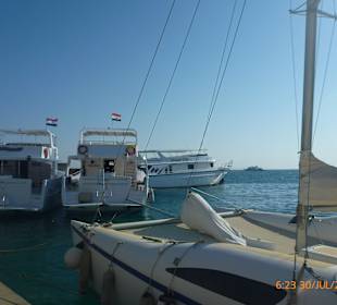 Ganz hinten die wunderschöne Dream Life