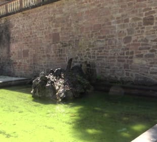 Wasserbecken Vater Rhein - Neptunbrunnen