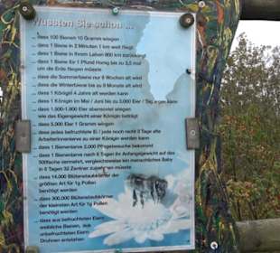 Erlebnisbauernhof und Wildgehege