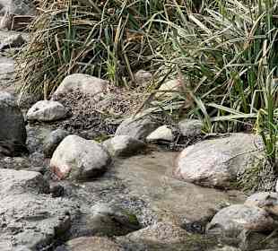 Steilküste Grömitz