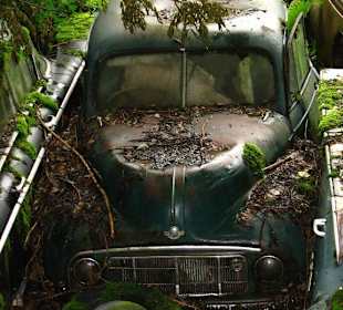 Oldtimer auf Historischem Autofriedhof in Kaufdorf