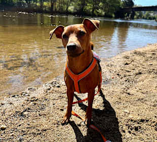 Wandern Neukirchen vorm Wald