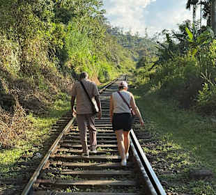 Bahnstrecke Richtung Ella