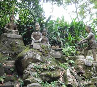 Magic Garden