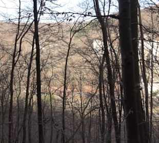 Wolfsschlucht