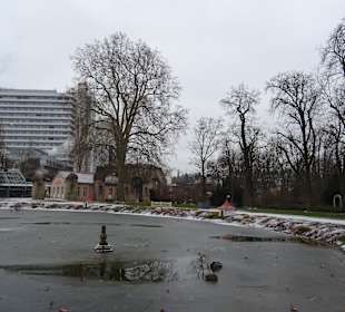 Blühendes Barock im Winter