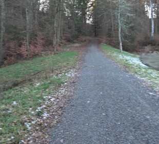 Ochsenweiher Rundweg