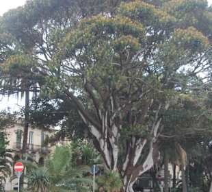 Promenade Reggio di Calabria