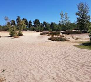 Eine tolle Landschaft