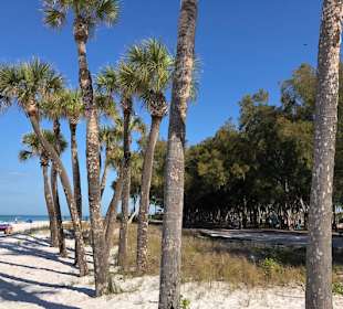 Strand Bradenton