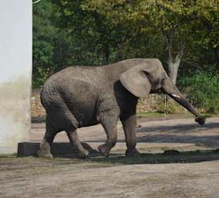 Zoo