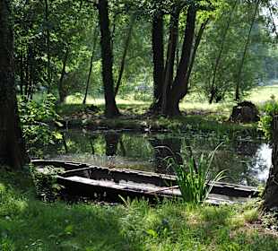 Radduscher Naturhafen