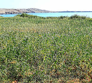 Nationalpark Kap Greco