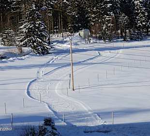 Wandern Neuhaus am Rennweg