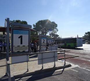 15 Bussteige gibt es