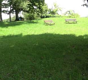 HAP Grieshaber Rundweg