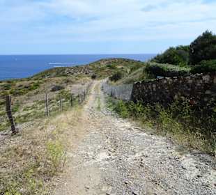 Der Wanderweg zum Cap l'Abeille 