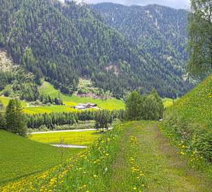 Auf dem Weg zum Hörneggele