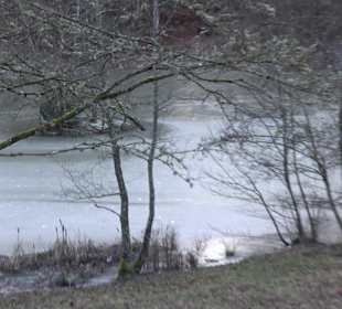 Ochsenweiher