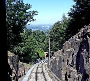 Fahrt mit der Königstuhlbahn