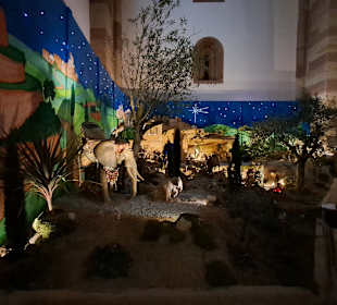 Dom zu Speyer in Speyer