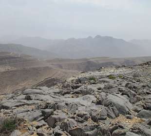 Safari nach Jebel Harim 