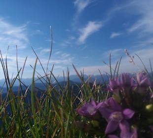 Wandern Obermaiselstein