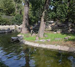Zoo
