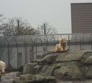 ZOO Berlin