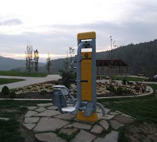 Siłownia zewnętrzna w Parku Zdrojowym