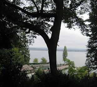 Blumeninsel Mainau