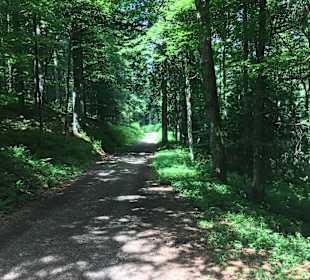 Wandern Muggenbrunn