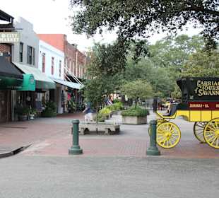 City Market