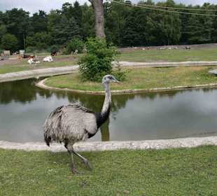 Serengeti Park Hodenhagen