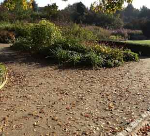 Botanischer Garten