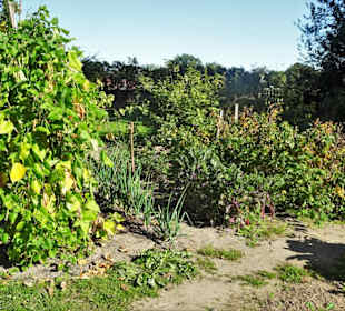 Bauerngarten im Freilichtmuseum am Kiekeberg