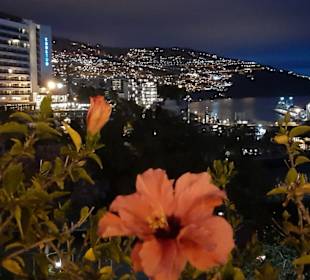 Hafenpromenade Funchal