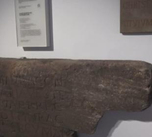 Rheinisches Landesmuseum 