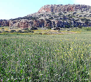 Nationalpark Kap Greco