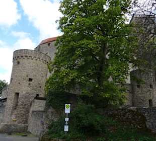 Burg Guttenberg