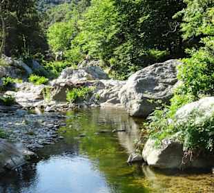 Impressionen von einer Wanderung an der Massane