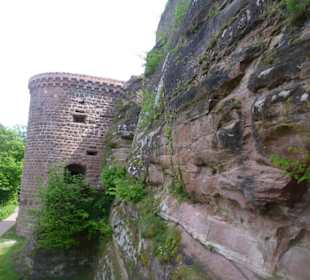 Burg