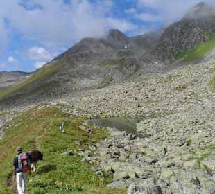 Seltsame Wanderführer im "Moos"