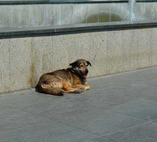 Исторический центр Анталии/ Historic center Antaly