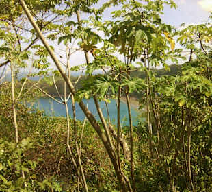 Englischmann Bay